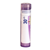 Boiron Chamomilla vulgaris granules