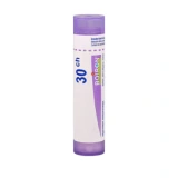 Boiron Cortico Surrenal Granules