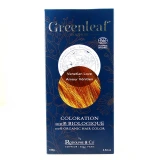 All4Green Coloration 100% Bio Greenleaf