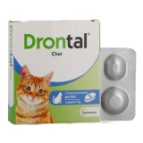 Drontal Chat