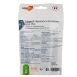 Easypill Resolvin Articulations pour Chat