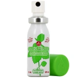 Eau de Mélisse des Carmes Boyer