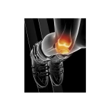 Epitact Physiostrap Ski