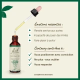 Fleurs de Bach Centaury n°4
