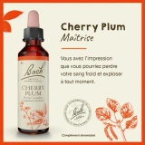 Fleurs de Bach Cherry Plum n°6