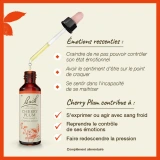 Fleurs de Bach Cherry Plum n°6