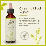Fleurs de Bach Chestnut Bud n°7