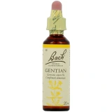 Fleurs de Bach Gentian n°12