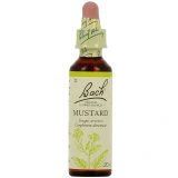 Fleurs de Bach Mustard n°21