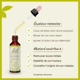 Fleurs de Bach Mustard n°21