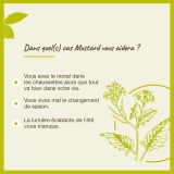 Fleurs de Bach Mustard n°21