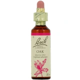 Fleurs de Bach Oak n°22