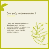 Fleurs de Bach Olive n°23