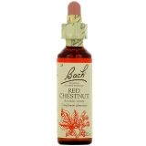 Fleurs de Bach Red Chestnut n°25