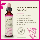Fleurs de Bach Star of Bethlehem n°29