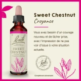 Fleurs de Bach Sweet Chestnut n°30