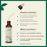 Fleurs de Bach Walnut n°33