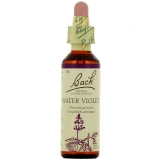 Fleurs de Bach Water Violet n°34