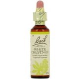 Fleurs de Bach White Chesnut n°35