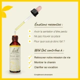 Fleurs de Bach Wild Oat n°36