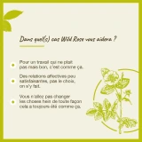 Fleurs de Bach Wild Rose n°37
