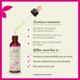 Fleurs de Bach Willow n°38