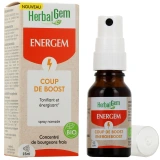 Herbalgem Energem Coup de Boost Bio
