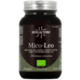 Hifas da Terra Mico-Leo