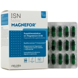 Ineldea Magnefor