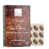 New Nordic Chaga