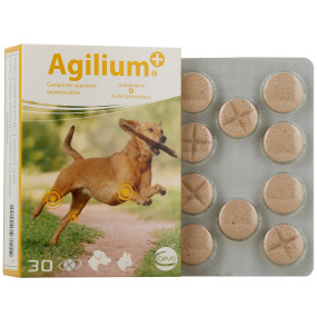 Agilium+