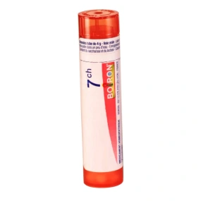 Boiron Ethyl Sulfur Dichloratum granules