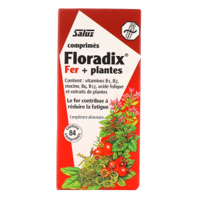 Floradix Fer + Plantes