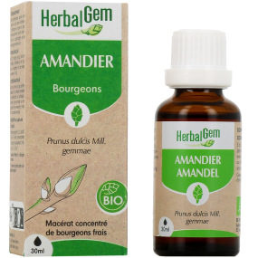 Herbalgem Amandier Bio