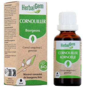 Herbalgem Cornouiller Bio