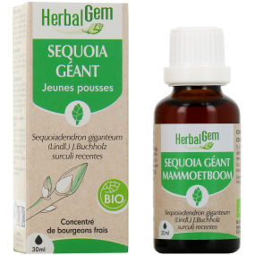 Herbalgem Séquoia Géant Bio