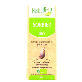 Herbalgem Sorbier Bio