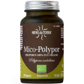 Hifas da Terra Mico-Polypor