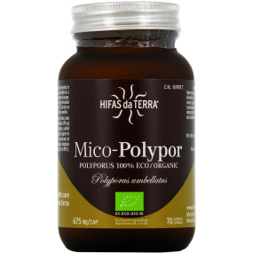 Hifas da Terra Mico-Polypor