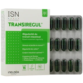 Ineldea Transiregul