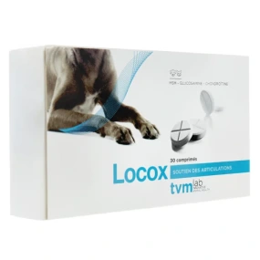 Locox Soutien des Articulations Chats et Chiens