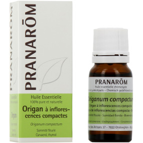 Pranarom huile essentielle Origan à inflorescences compactes