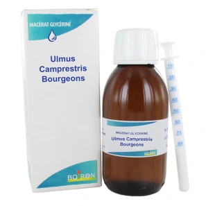 Boiron Macérat Glycériné Ulmus Campestris 1DH