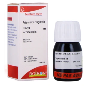 Boiron Teinture mère Thuya occidentalis