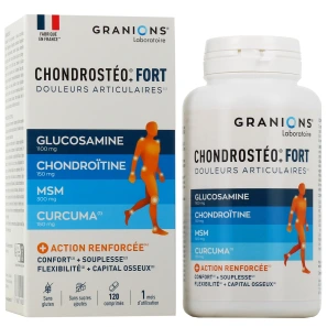 Chondrostéo Fort Articulations