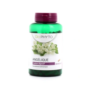 Go Phyto Angélique Confort Digestif