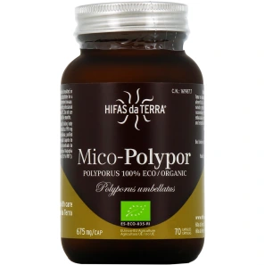 Hifas da Terra Mico-Polypor