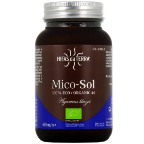 Hifas da Terra Mico-Sol