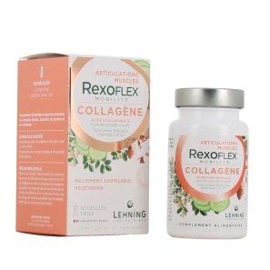 Lehning Rexoflex Mobilité