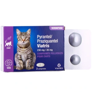 Pyrantel Praziquantel